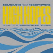 High Hopes (Art of Tones Dub mix) [feat. Robert Owens] artwork