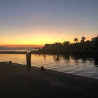 Dreams - Single - Oswaldvv