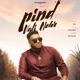 Pind Wali Nehr Single