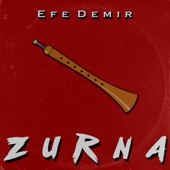 Zurna artwork