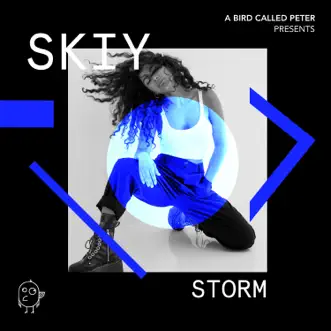 Storm by SKIY song reviws