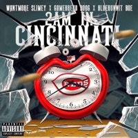 2 AM in Cincinatti (feat. Gamebread Boog X Bluehunnit Boe) - Single - Wantmore Slimey