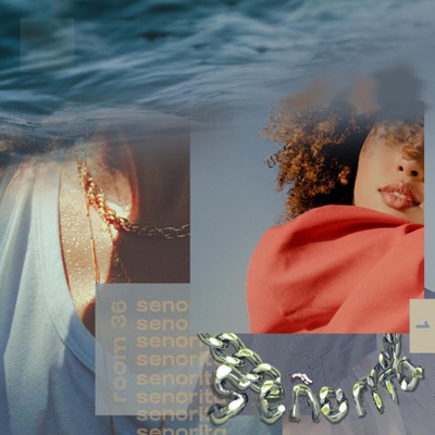 Señorita (feat. Nic Soze, Gurley, Mdnghtppl & LukeMakesBeats) - Single