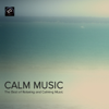 Reiki Music - Calm Music Ensemble