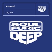Laguna (Extended Mix) artwork