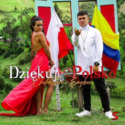 Dziękuję polsko (feat. Saybor) - Single