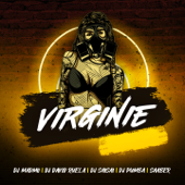 Virginie (feat. DJ David Ruela, DJ Sai Sai, DJ Pumba & Saaber) - DJ Madmo