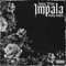 Impala (feat. Dxnny Dolphin) - Jimmy Teflon lyrics