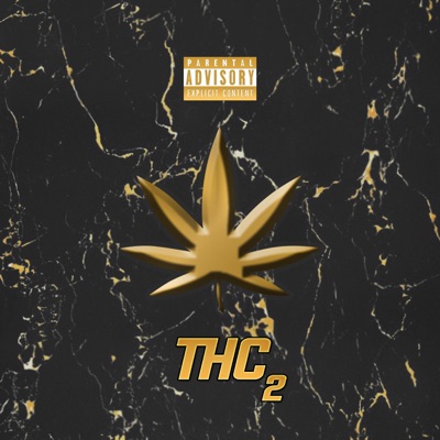 THC (feat. DayLire) - Single