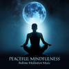 Peaceful Mindfulness: Bedtime Meditation Music - Relaxation Meditation Songs Divine, Trouble Sleeping Music Universe & Stress Relief Calm Oasis