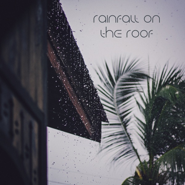 Rainfall On the Roof
