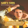 Répondez-Moi (Sunlike Brothers Remix) - Gjon's Tears