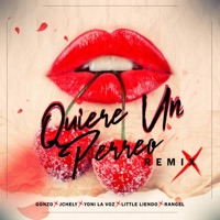 Quiere Un Perreo (feat. Rangel, Jchely, Yoni la Voz & Little Liendo) [Remix] - Single - Gonzo