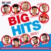 Big Hits, Vol. 1, 2010