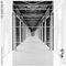BazeFaze (SPLT SCND SURROGATE VIP RMX) - Dj Ruffneck lyrics
