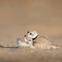 Fisuras - EP - Derrok