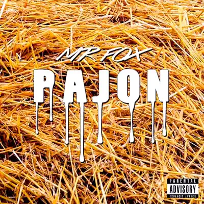 Pajon - Single - Mr Fox