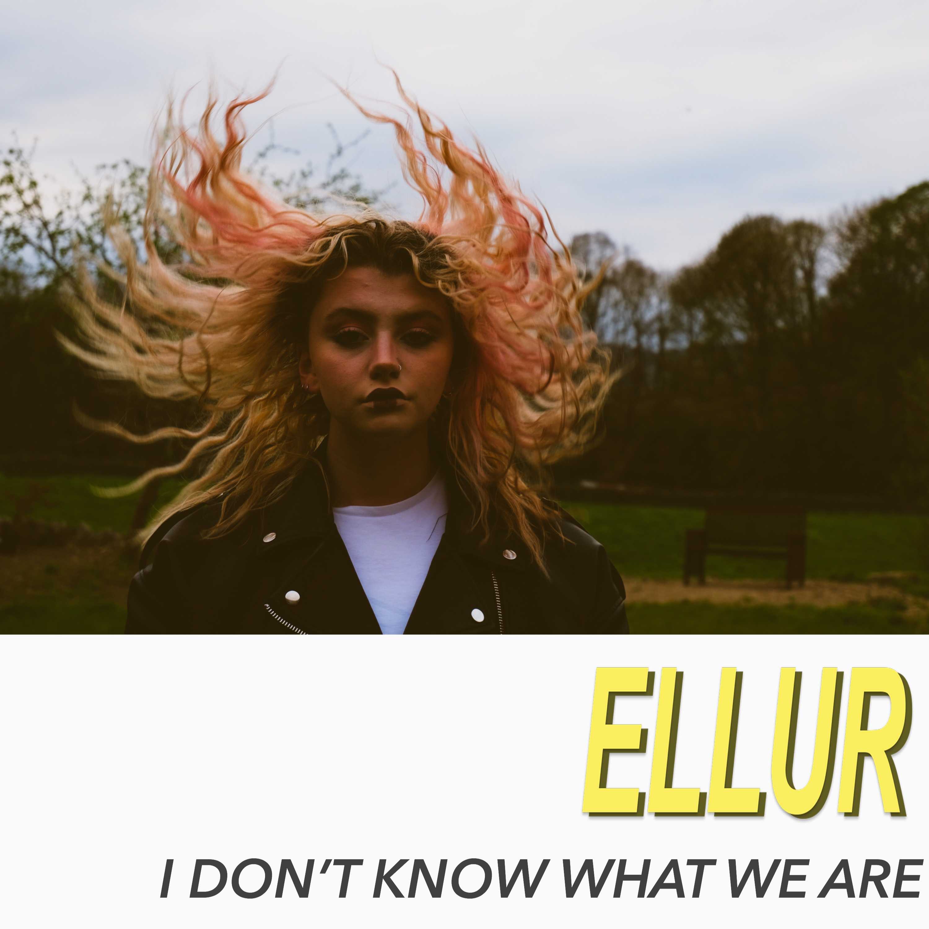 I Don't Know What We Are - Single