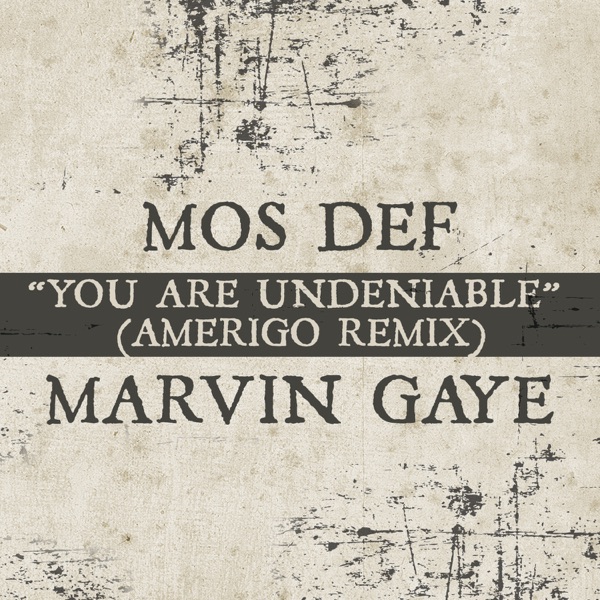 You Are Undeniable (Amerigo Remix) - Single - Mos Def & Marvin Gaye