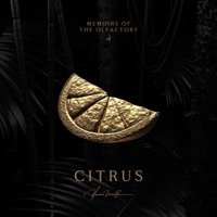Citrus - Single - Yuno Verse