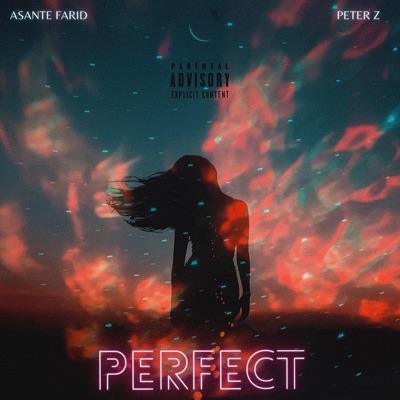 Perfect (feat. Peter Z) - Single