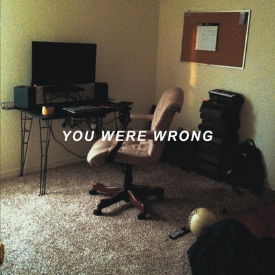 You Were Wrong - Single