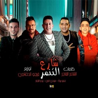 Share' El Tanamor (Share' El Tanamor) - Single - Hamo Bika, Moudy Amin & بيدو النجم