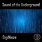 Driven - DIGINOIZE lyrics