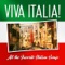 O Sole Mio - Italian Mandoline Orchestra lyrics