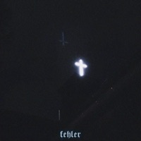 fehler (feat. Idk funus) - Single - benniveaulos & liltew