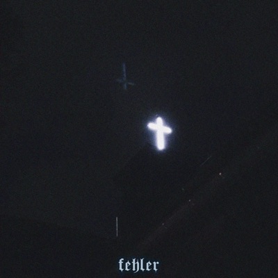 fehler (feat. Idk funus) - Single