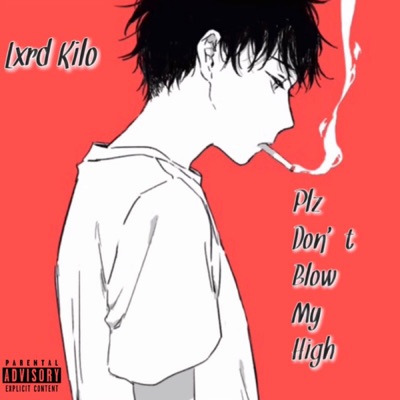 Plz Don't Blow My High! - Single
