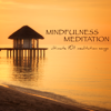 Mindfulness Meditation - Ultimate 101 Meditation Songs, Relax & Concentration, Soothing Sounds for Mindfulness & Brain Stimulation - Meditation Guru