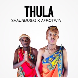 Thula ShaunMusiq & Afrotwin