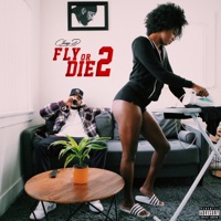 Fly or Die 2 - Chap D