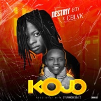 Kojo (feat. C Blvck) - Single - Destiny Boy