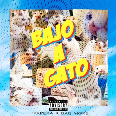 Bajo a Gato - Single