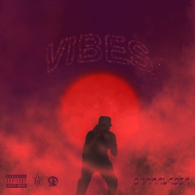 Vibes - Single