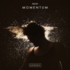 Momentum - Single