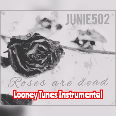 Looney Tunes (Instrumental) - Single