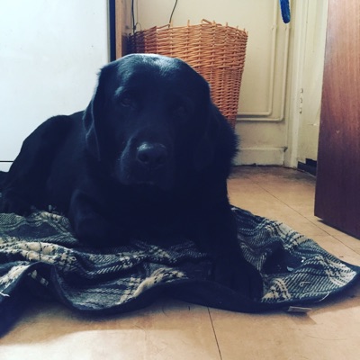 When You Say Nothing at All - Single