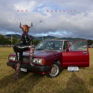 Pop It, Shake It (feat. DJ Mustard)