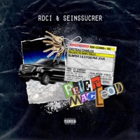 Peter MacLeod (feat. SeinsSucrer) - Single - RDCI