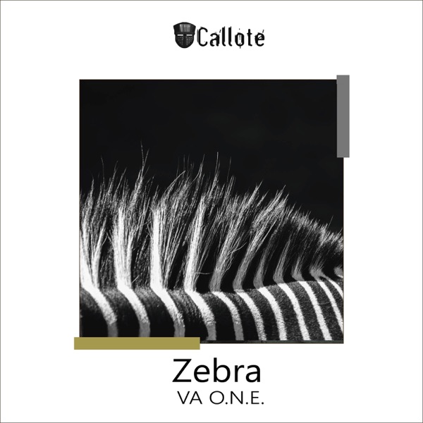 Zebra - EP