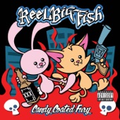 Reel Big Fish - Don't Stop Skankin'