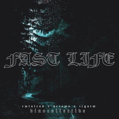 FAST LIFE (feat. dreamy & ICGUTM) - Single
