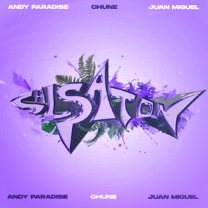 Chune, Andy Paradise & Juan Miguel - Salsaton - Line Dance Music
