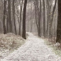 A Minor Incident - Single - John Theodore