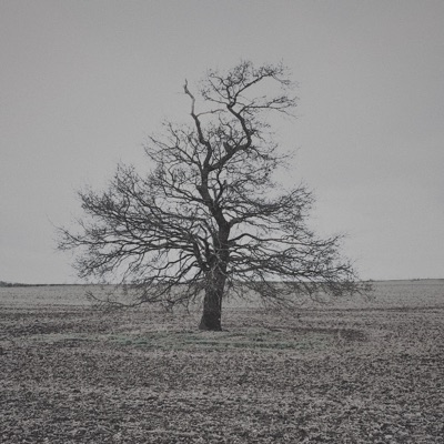 Frost (feat. Joshua Benjamin) - Single