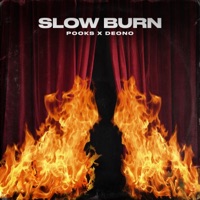 Slow Burn (feat. Deono) - Single - Pooks
